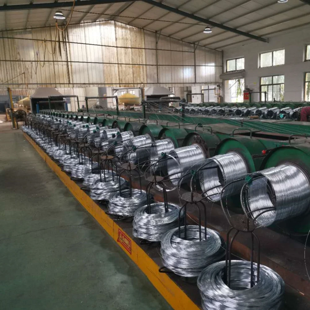 electro galvanized welded wire mesh