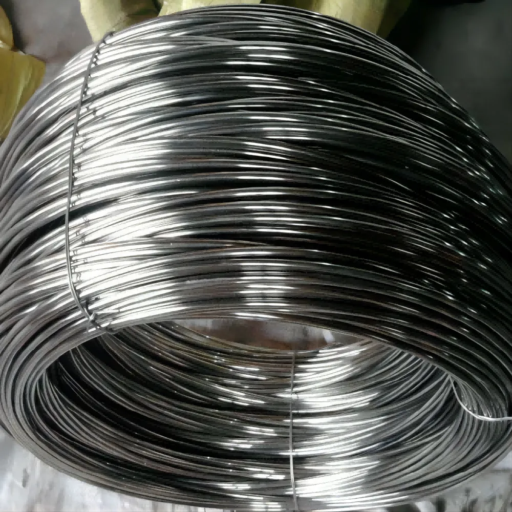 Stainless Steel Wire-Anping Honglin Wire Mesh Co., Ltd.|Corrosion-Resistant Solutions&Industrial Applications