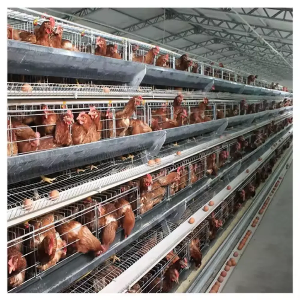 Durable Poultry Mesh Chicken Cage for Secure & Efficient Farming