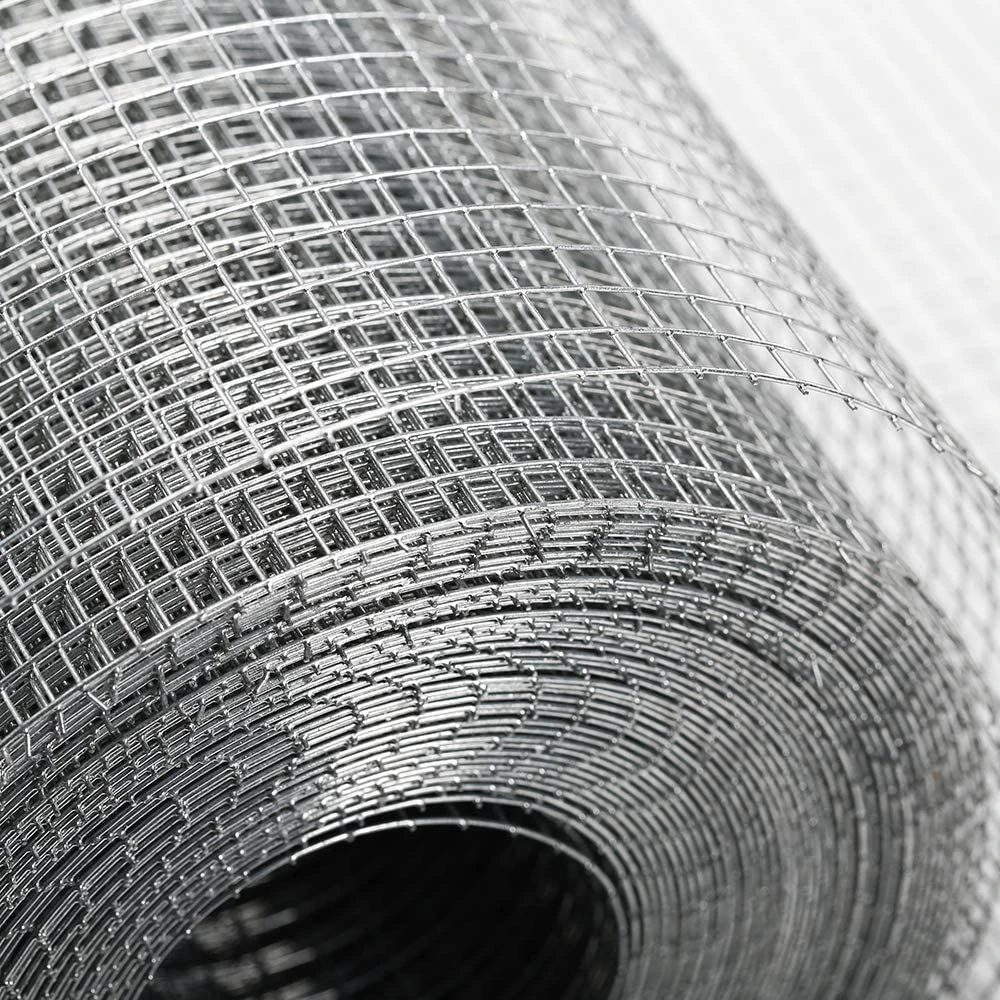electro galvanized welded wire mesh
