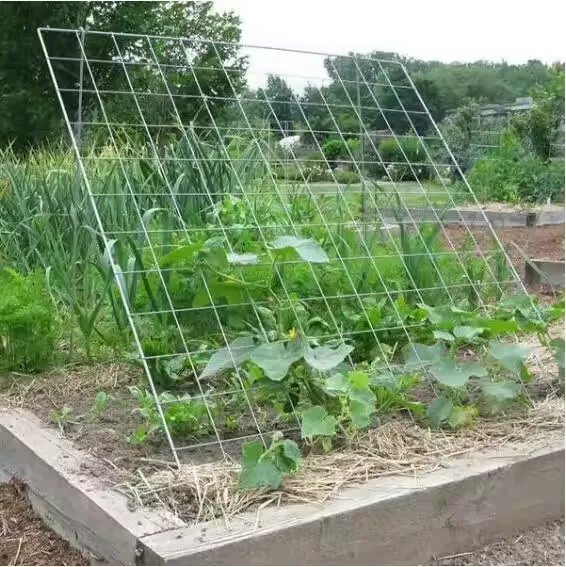 Strong Mesh Fencing   Durable Wire & Chicken Wire Solutions for Security