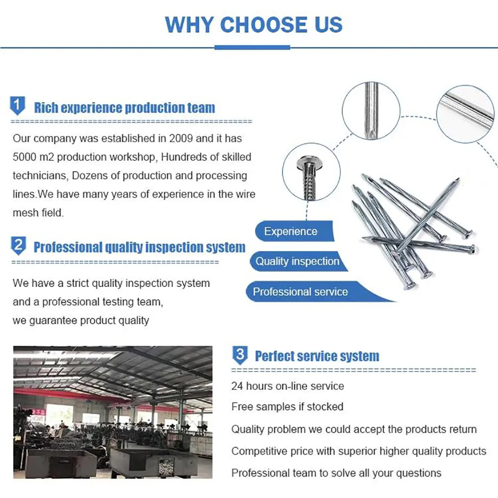 china welded wire mesh