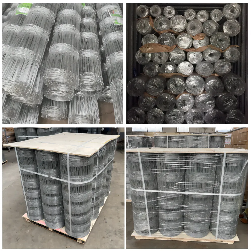 PVC Coated Welded Wire Mesh Rolls   Durable & Weatherproof Fencing