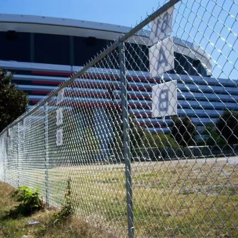 electro galvanized welded wire mesh