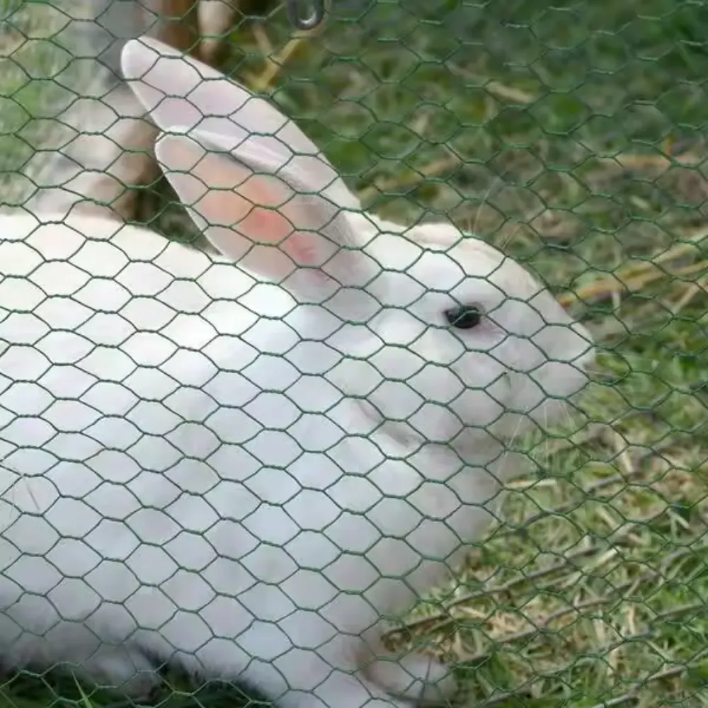 chicken wire mesh factory