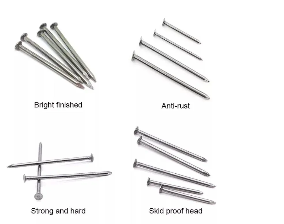 Roofing Nails