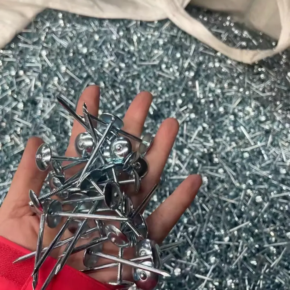 Roofing Nails