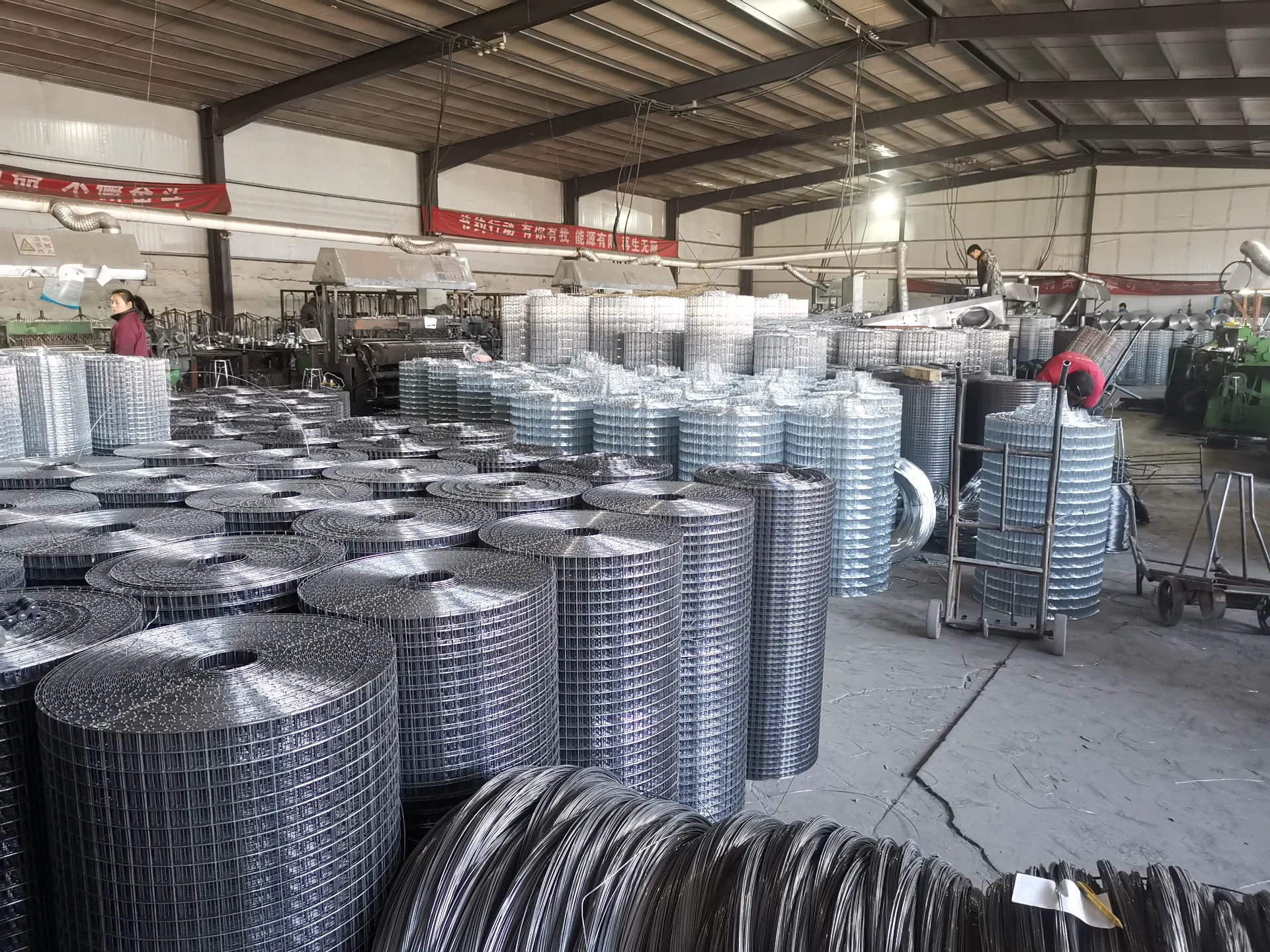 galvanized welded wire mesh