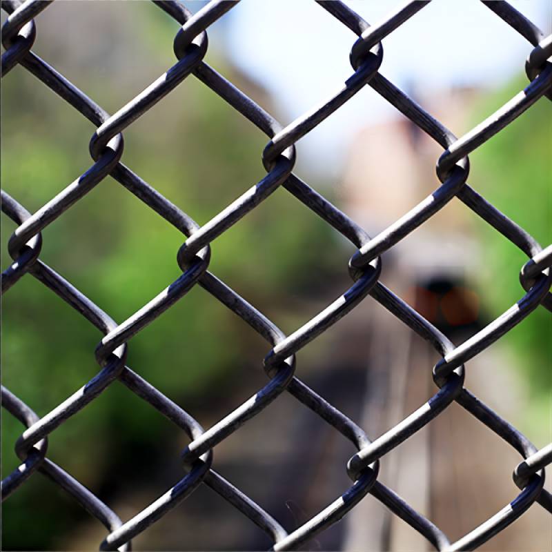 Welded Wire Mesh