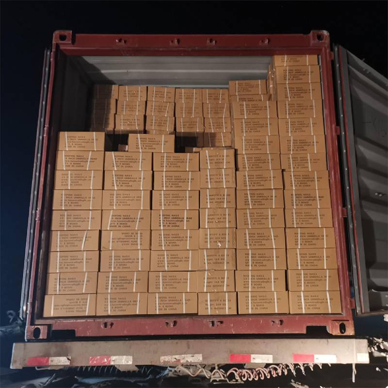 Common Nails - Anping Honglin | Durable, Galvanized, Versatile