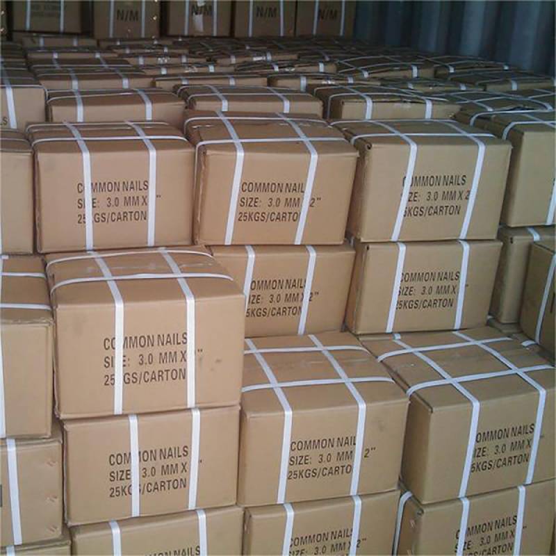 Common Nails-Durable Fasteners for Construction | Anping Honglin