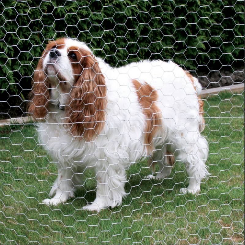 Selecting Lightweight Nails for Wood Projects to Ensure a Secure Fit