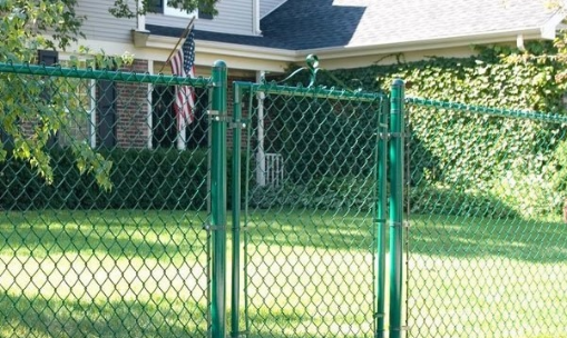 Creating a Basic Chicken Wire Fence for Your Backyard Garden