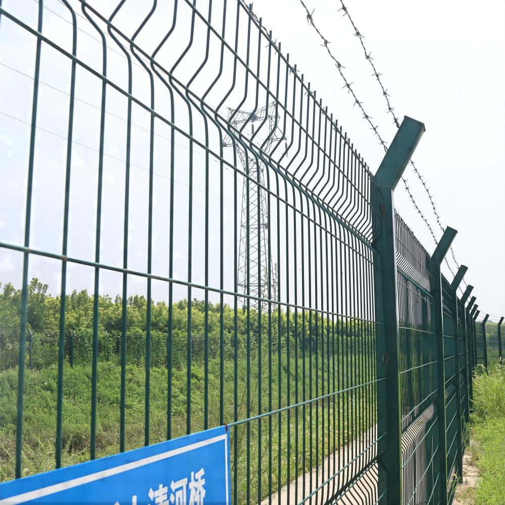 Durable Mesh Chicken Fencing for Enhanced Backyard Poultry Protection and Safety