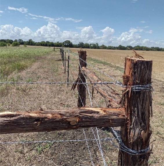 china hexagonal wire mesh