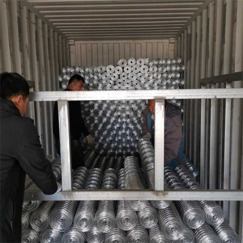 Affordable 3ft Chain Link Fence Installation   Durable & Low-Cost